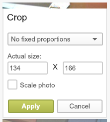 Websites DIY-DIY Photo editor crop menu.png